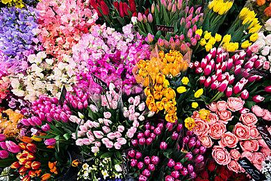 《高达：进化》PC版开发纪要 10月27日将进行机体平衡调整