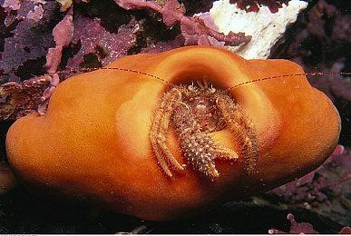 Xbox游戏独占不独占，全由Phil Spencer说了算