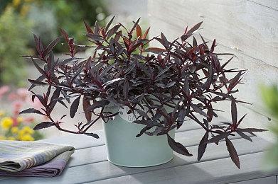 小岛秀夫透露《死亡搁浅2》开发进度 演员拍摄和配音已经完成